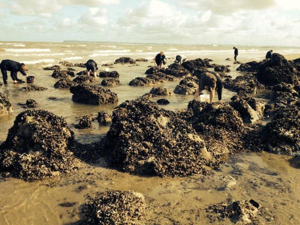 Pêche moule - Au menu il y a - Un weekend à Trouville Deauville