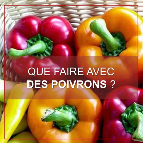 [Recette] Que faire avec des poivrons ?