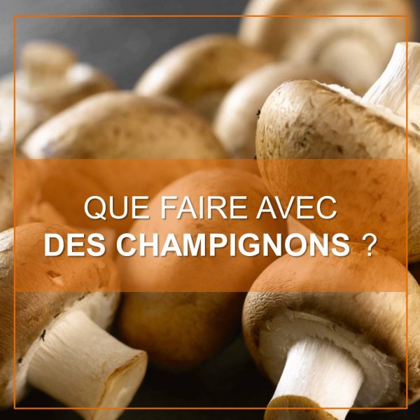 [Recette] Que faire avec des champignons